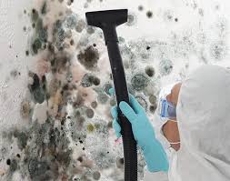 Best Mold Remediation for Healthcare Facilities in Sherman, TX